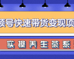 柚子视频号带货实操变现项目,零基础操作养身茶月入10000+-风淘社