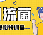 引流菌2020全网爆粉特训营(QQ群霸屏,知乎引流,群裂变,自动化引流等)-风淘社