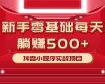 最新小白赚钱项目,零基础每天躺赚500+抖音小程序实战项目-风淘社