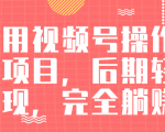 视频号操作书单变现项目,后期轻松变现,完全躺赚日入300至500元-风淘社