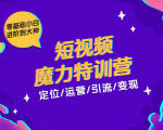 零基础小白进阶到大神《短视频魔力特训营》定位-运营-引流-变现-风淘社