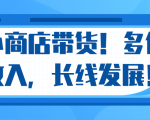微信小商店带货,爆单多倍收入,长期复利循环!日赚300-800元不等-风淘社