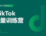 2020最新TikTok流量增长训练营（完结）附PPT-风淘社