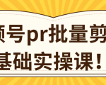 视频号PR批量剪辑0基础实操课,PR批量处理伪原创一分钟一个视频【共2节】-风淘社