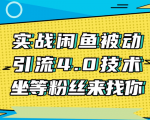 实战闲鱼被动引流4.0技术,坐等粉丝来找你,实操演示日加200+精准粉-风淘社