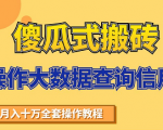 搬砖操作大数据查询信用项目赚钱教程,祝你快速月入6万-风淘社