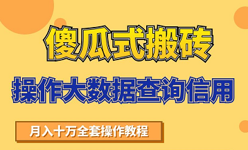 搬砖操作大数据查询信用项目赚钱教程,祝你快速月入6万-风淘社