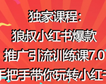 狼叔小红书爆款推广引流训练课7.0,手把手带你玩转小红书-风淘社