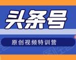 头条号原创视频特训营:一对一带你玩转短视频,新号10天日收益破252元-风淘社