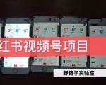 野路子小红书视频号1.0项目,直接上手操作就能赚钱的视频号项目-风淘社