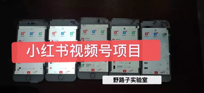 野路子小红书视频号1.0项目,直接上手操作就能赚钱的视频号项目-风淘社