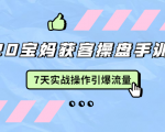 2020宝妈获客操盘手训练营:7天实战操作引爆 母婴、都市、购物宝妈流量-风淘社
