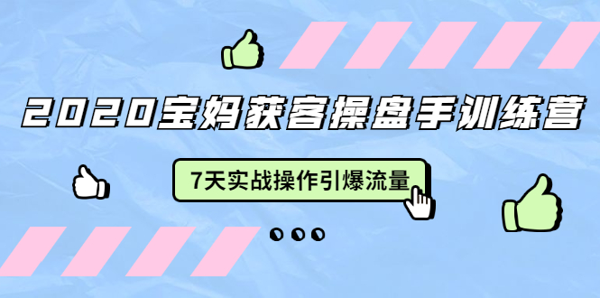 2020宝妈获客操盘手训练营:7天实战操作引爆 母婴、都市、购物宝妈流量-风淘社