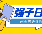 闲鱼高级课程:单号一个月一万左右 有基础的,批量玩的5万-10万都不是难事-风淘社
