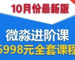 微淼理财进阶课全套视频:助你早点实现财务自由,理论学习+案例分析+实操-风淘社