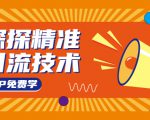 探探精准引流技术:探探上模拟器+探探做号方法+模拟器话术+视频演示-风淘社