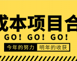 低成本零成本项目合集:赚钱快的慢的、暴利的,线上线下的,价值万元资料-风淘社