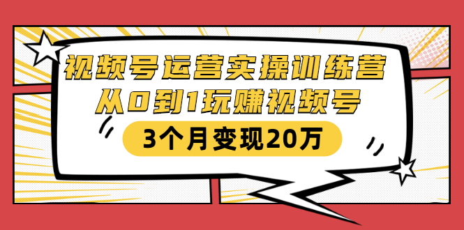 视频号运营实操训练营:从0到1玩赚视频号,3个月变现20万-风淘社