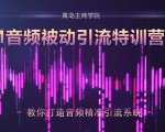 黄岛主·FM音频引流特训营2.0:独家引流模式,单账号50W+播放量,轻松变现-风淘社