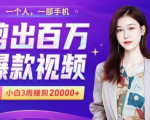 小白易上手的手机剪辑赚钱课,抓住短视频风口月赚2万+-风淘社