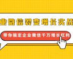 企业微信裂变增长实战课:带你搞定企业微信千万增长红利,新流量-新玩法-风淘社