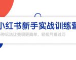 龟课·小红书新手实战训练营:多种变现玩法,轻松玩转小红书月赚过万-风淘社
