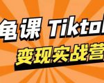 龟课·TikTok变现实战训练营线上第1期,多种变现模式,轻松赚美刀-风淘社