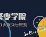 30天视频号成长营:视频号制作筹备+视频剪辑+视频号运营+引流变现-风淘社