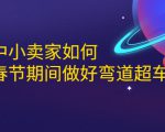 淘宝中小卖家如何利用春节期间做好弯道超车,如何做到月销售额20W+-风淘社