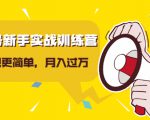 视频号新手实战训练营，让变现更简单，玩赚视频号，轻松月入过万-风淘社