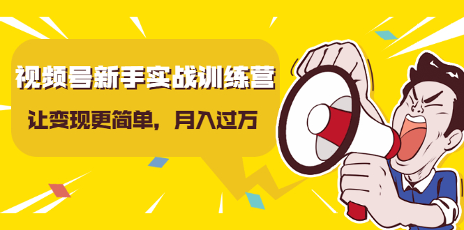 视频号新手实战训练营,让变现更简单,玩赚视频号,轻松月入过万-风淘社