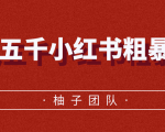 月入五千小红书粗暴赚钱玩法,适合上班族的赚钱副业-风淘社