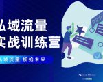 私域流量实战营:7天收获属于您的私域流量池,给你总结出可复制的套路-风淘社