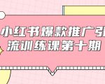 小红书爆款推广引流训练课第十期,手把手带你玩转小红书,轻松月入过万-风淘社