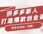 拼多多新人打造爆款创业课:快速引流持续出单,适用于所有新人-风淘社