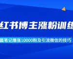 小红书博主涨粉训练营:一篇笔记爆涨10000粉及引流微信的技巧-风淘社