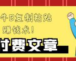 —牛B复制粘贴赚钱术!牛逼持久收入极品闷声发财项目,首发揭秘独此一家!-风淘社