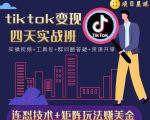 tiktok变现四天实战班,连怼技术+矩阵玩法赚美金!价值998元-风淘社