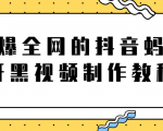 火爆全网的抖音“蚂蚁牙黑”视频制作教程,附软件【视频教程】-风淘社