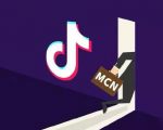 抖音MCN孵化课程,帮助商家拓客,帮助达人更好变现的课程,从0基础到超级IP-风淘社
