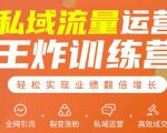 私域流量运营王炸训练营:全网引流+裂变涨粉+私域运营+高效成交-风淘社