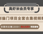 暴利偏门项目全套合集视频教程:你要的日赚1000+月入几万+项目都有-风淘社