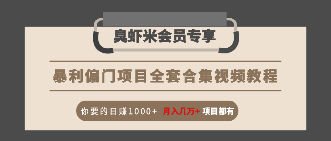 暴利偏门项目全套合集视频教程:你要的日赚1000+月入几万+项目都有-风淘社