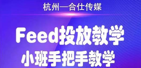 合仕传媒Feed投放教学,手把手教学,开车烧钱必须自己会-风淘社