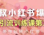 狼叔小红书爆款推广引流训练课第12期,手把手带你玩转小红书-风淘社