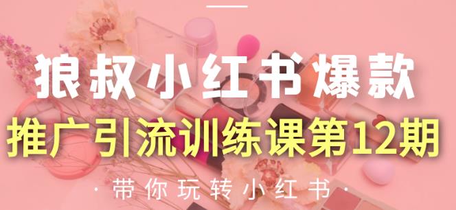 狼叔小红书爆款推广引流训练课第12期,手把手带你玩转小红书-风淘社