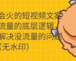只说话就会火的短视频文案课,从根本上解决没流量的问题-风淘社