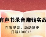 有声书录音赚钱实战:在家录音,动动嘴皮,日赚1000+!-风淘社