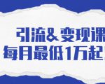 引流&变现课:分享一整套流量方法以及各个渠道收入,每月最低1万起!-风淘社