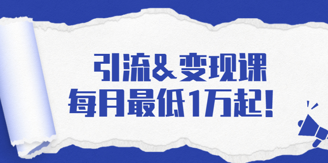 引流&变现课：分享一整套流量方法以及各个渠道收入，每月最低1万起！-风淘社
